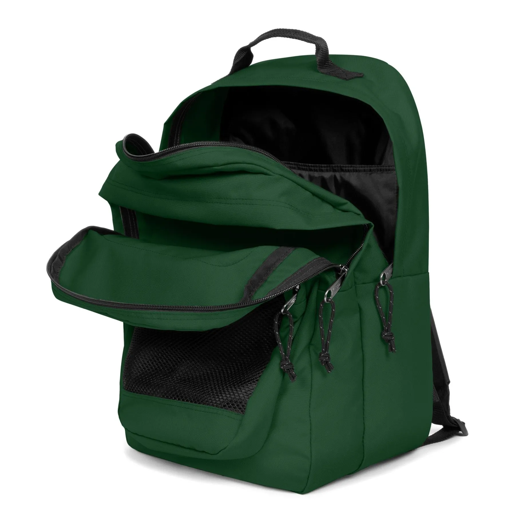STUDY BUDDY-Eastpak Online