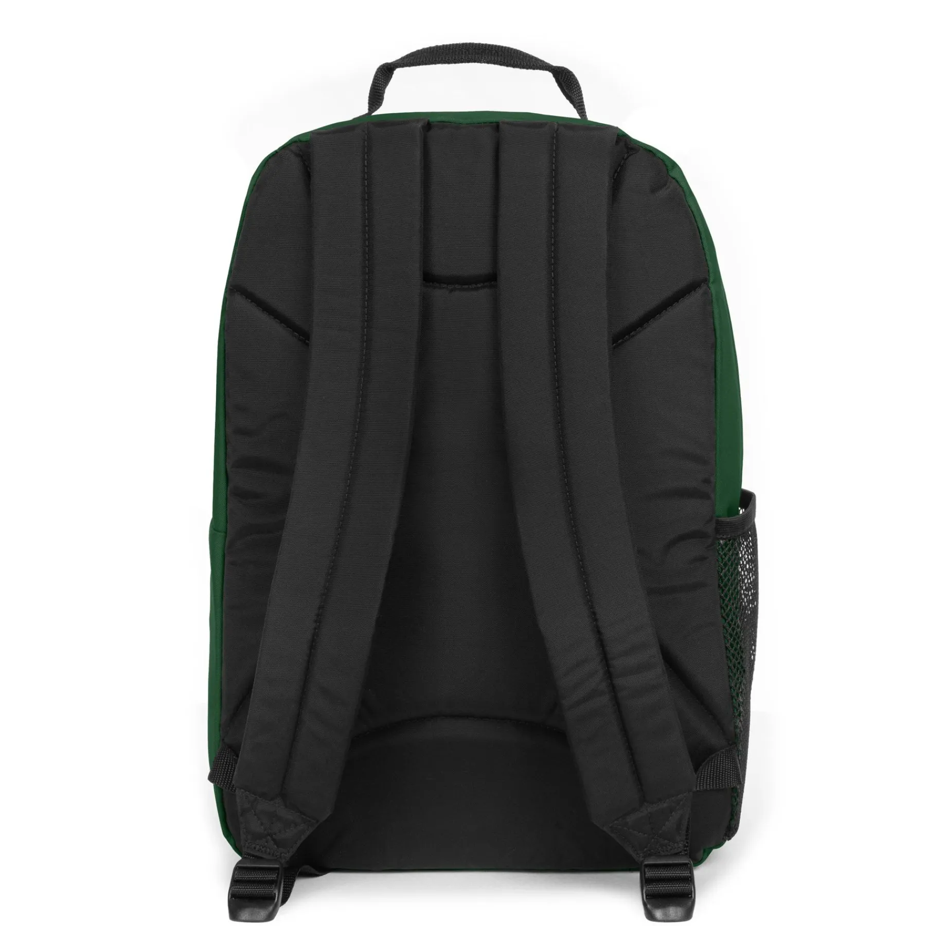STUDY BUDDY-Eastpak Online