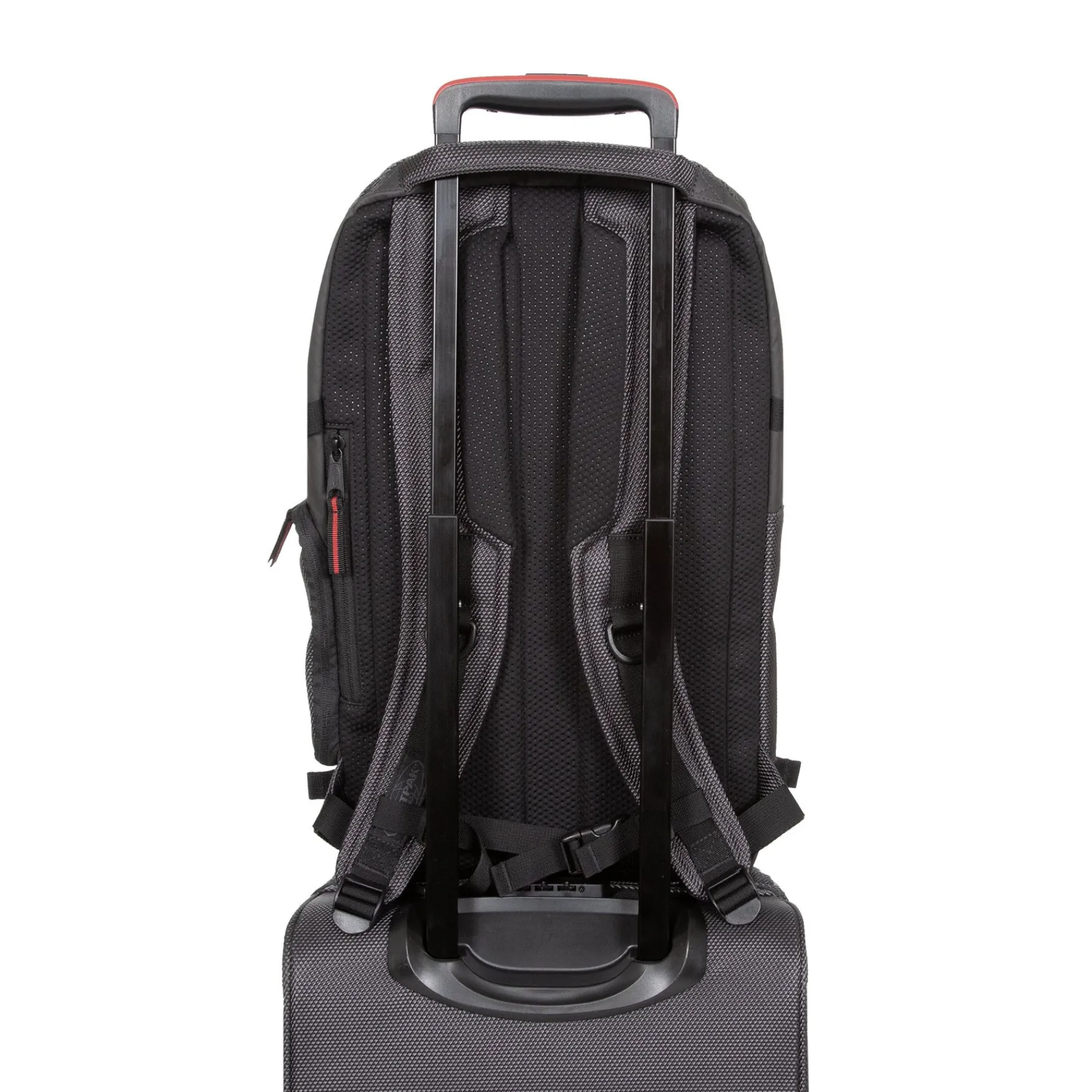 TECUM L-Eastpak Fashion