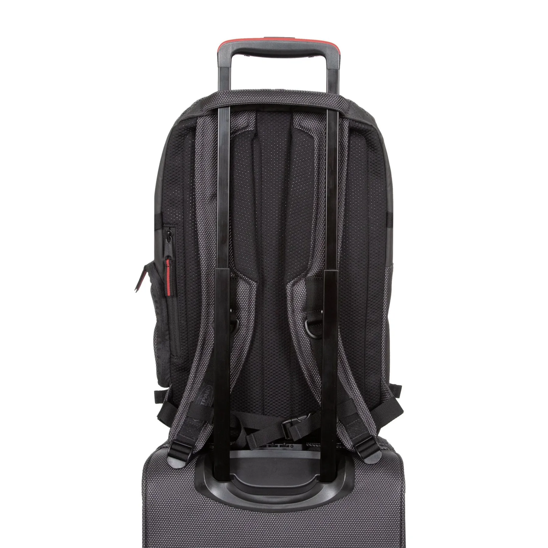 TECUM M-Eastpak Hot